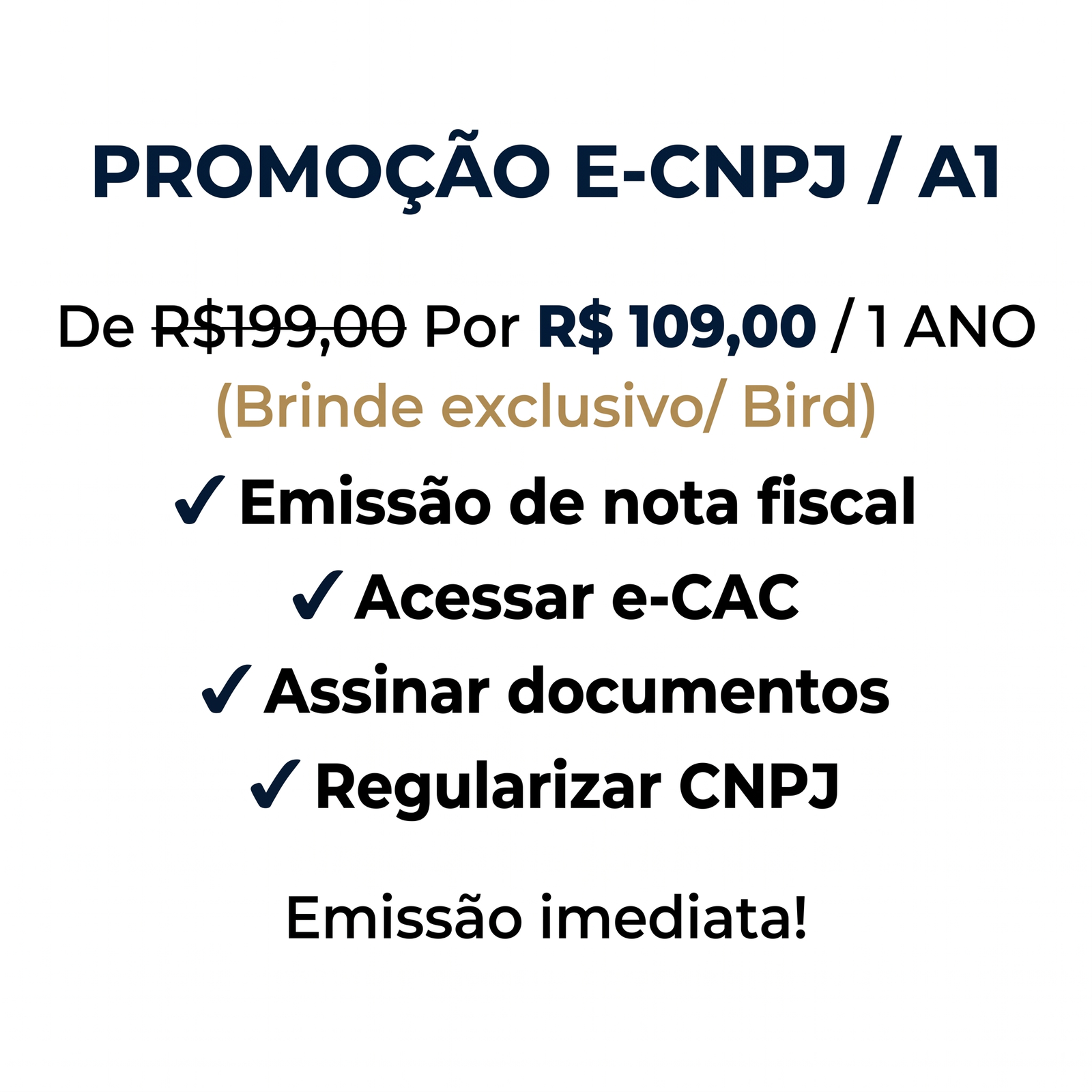 E-CNPJ (2 EM 1 — A1 + A3)